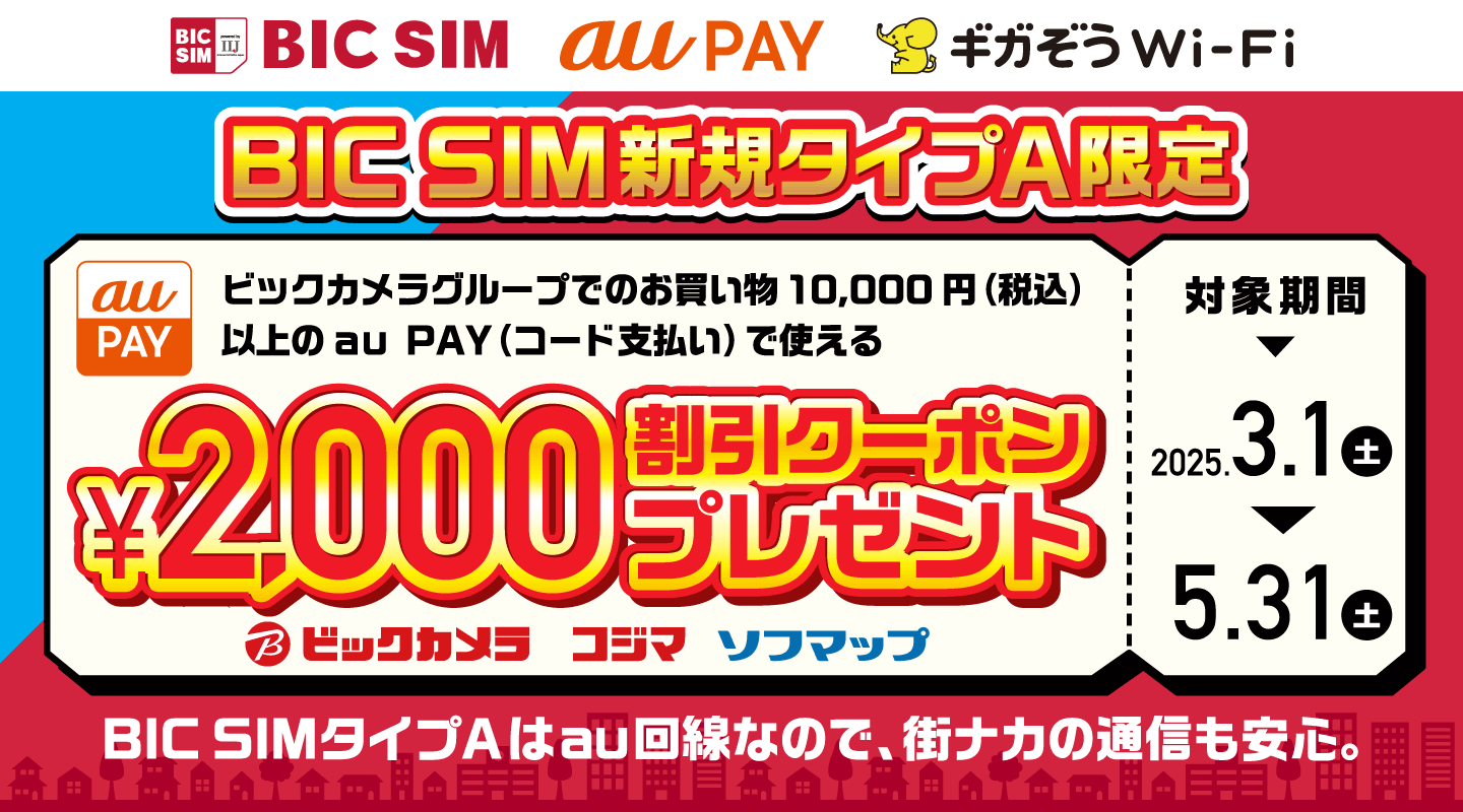 BIC SIM新規タイプA限定キャンペーン