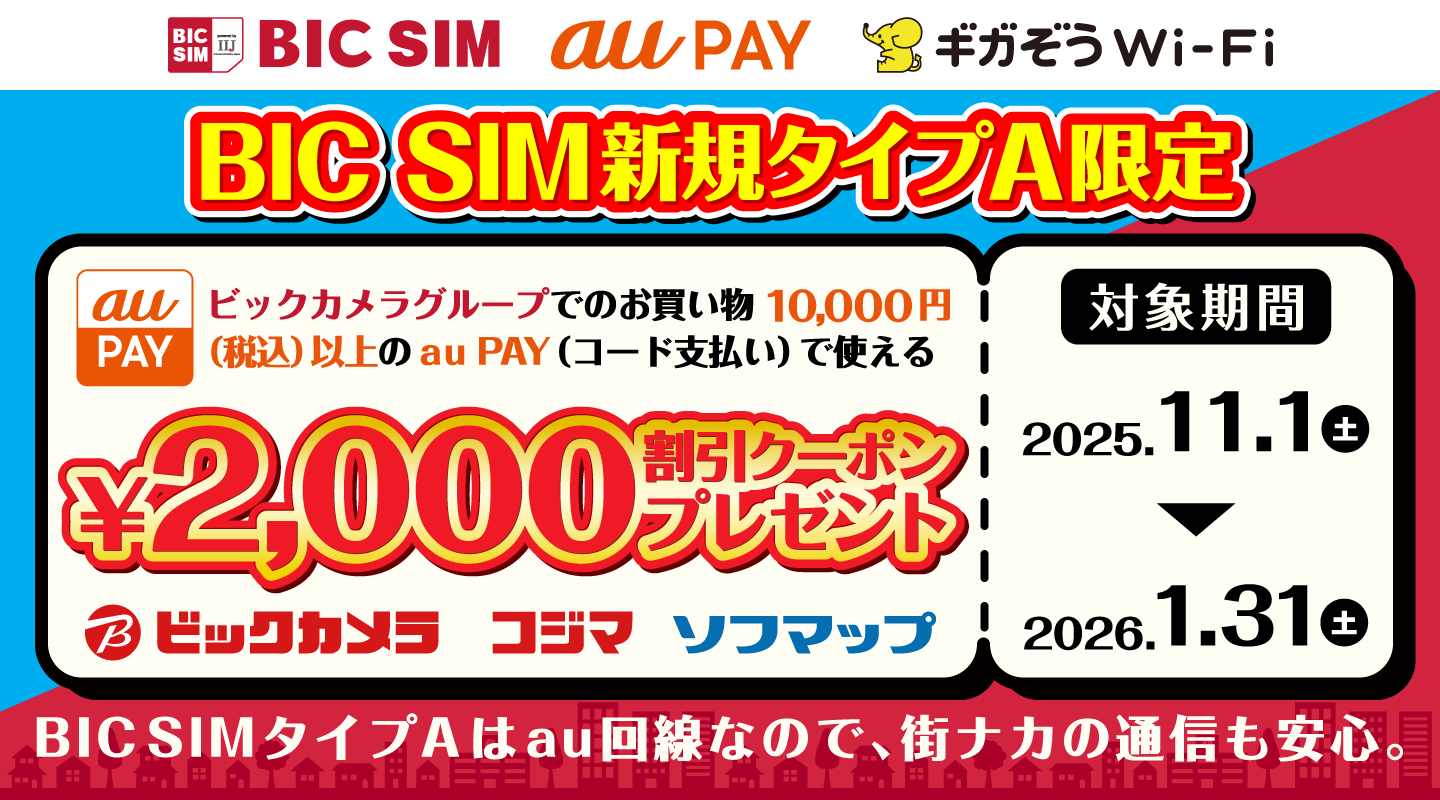 BIC SIM新規タイプA限定キャンペーン