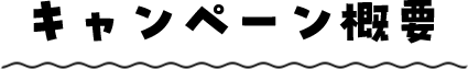 キャンペーン概要